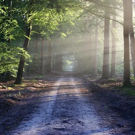 بيت للعطل Wibrin-achouffe *